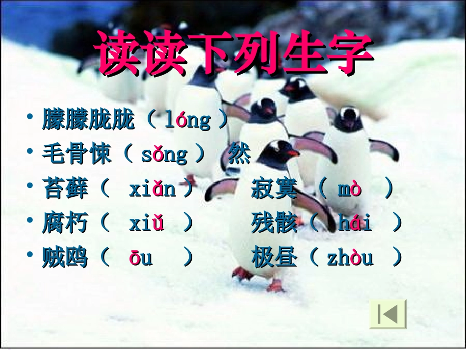 《一封从南极寄来的信》PPT课件[冀教版四年级语文上册]_第3页