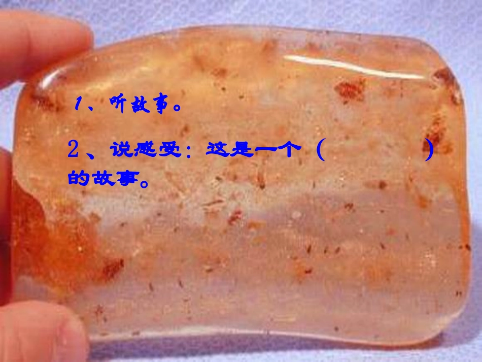 《琥珀》PPT课件[冀教版四年级语文上册]_第3页