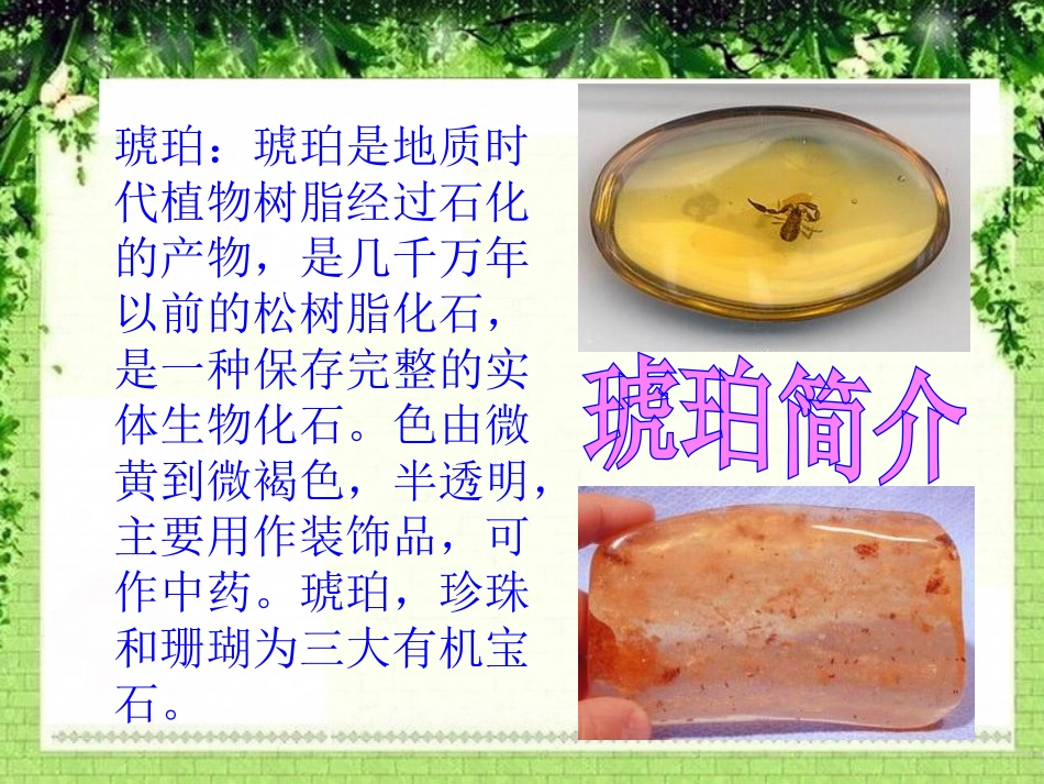 《琥珀》PPT课件[冀教版四年级语文上册]_第2页