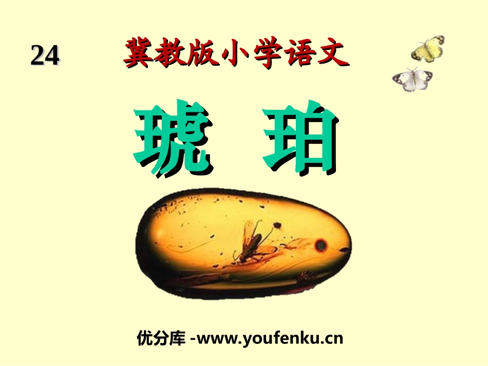 《琥珀》PPT课件[冀教版四年级语文上册]_第1页