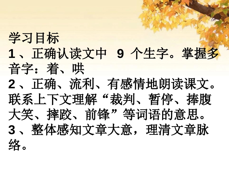 《快乐的足球赛》PPT课件[冀教版四年级语文下册]_第2页