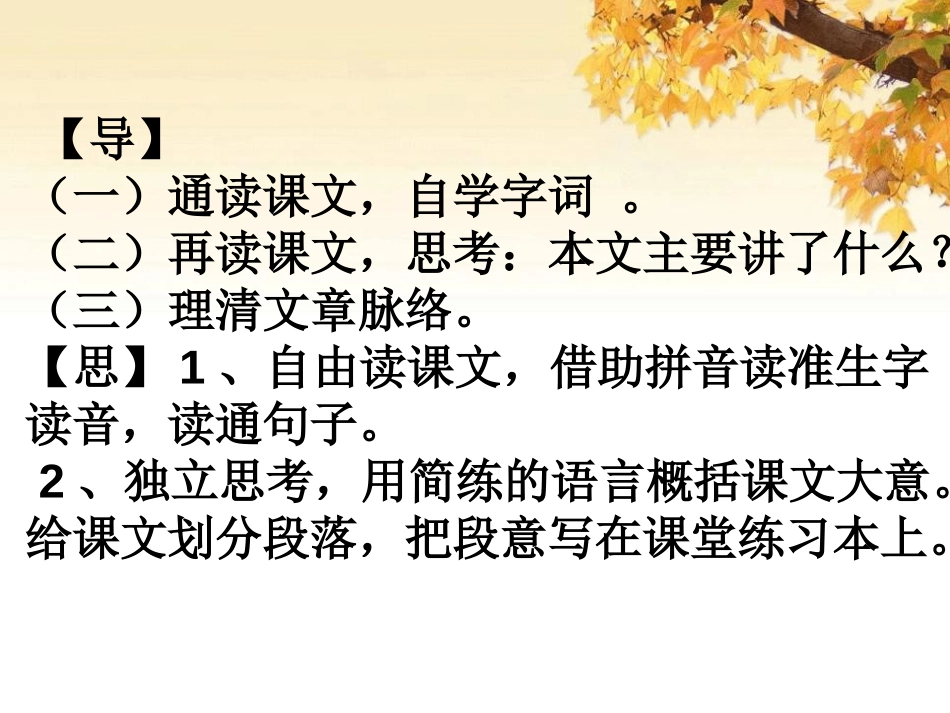 《快乐的足球赛》PPT课件[冀教版四年级语文下册]_第3页