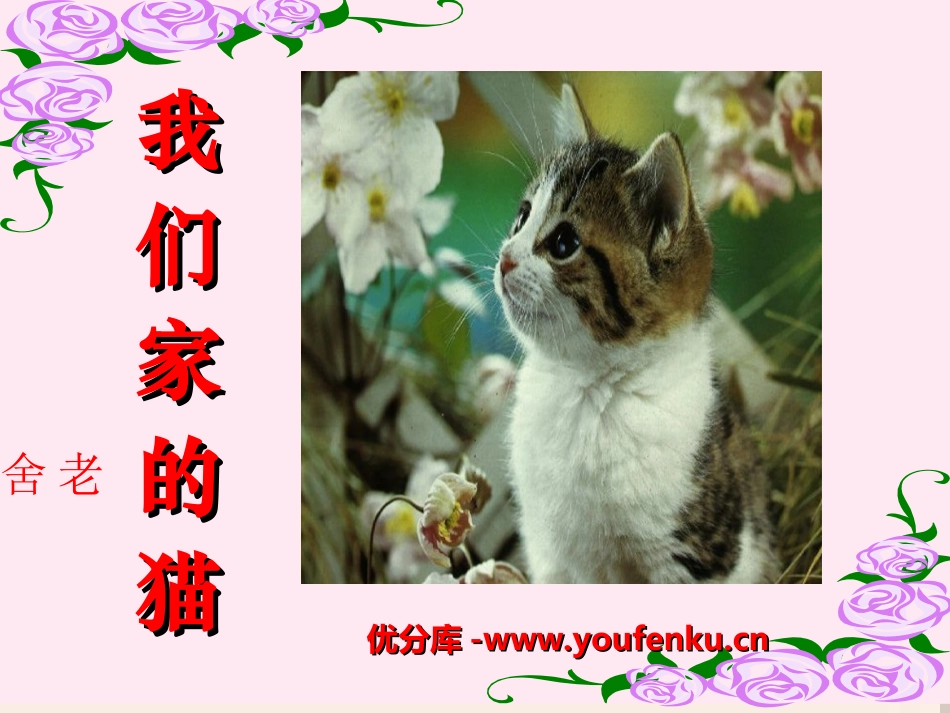 《我们家的猫》PPT课件[冀教版四年级语文下册]_第1页