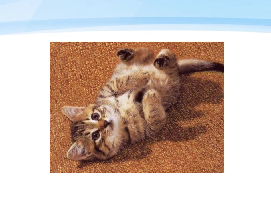 《我们家的猫》PPT课件[冀教版四年级语文下册]_第3页