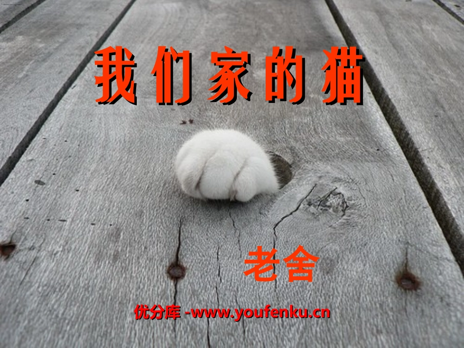 《我们家的猫》PPT课件[冀教版四年级语文下册]_第1页