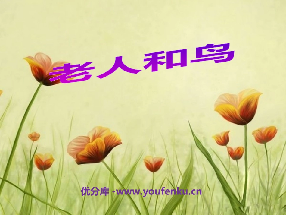 《老人和鸟》PPT课件[冀教版四年级语文下册]_第1页