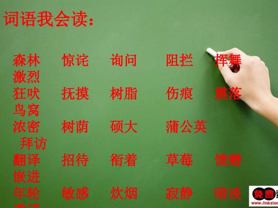 《老人和鸟》PPT课件[冀教版四年级语文下册]_第3页