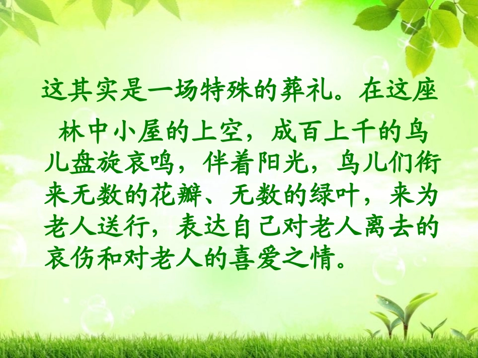 《老人和鸟》PPT课件[冀教版四年级语文下册]_第3页