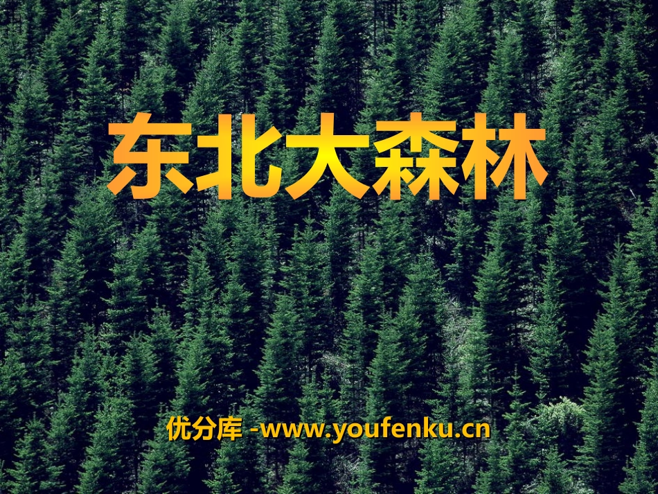 《东北大森林》PPT课件[冀教版四年级语文下册]_第1页