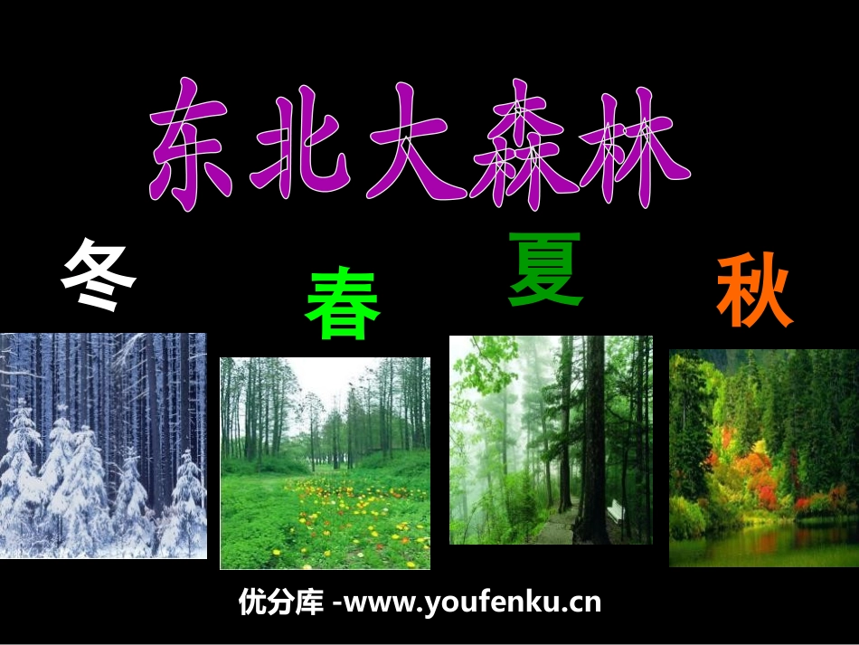《东北大森林》PPT课件[冀教版四年级语文下册]_第1页