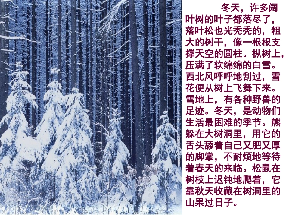 《东北大森林》PPT课件[冀教版四年级语文下册]_第2页
