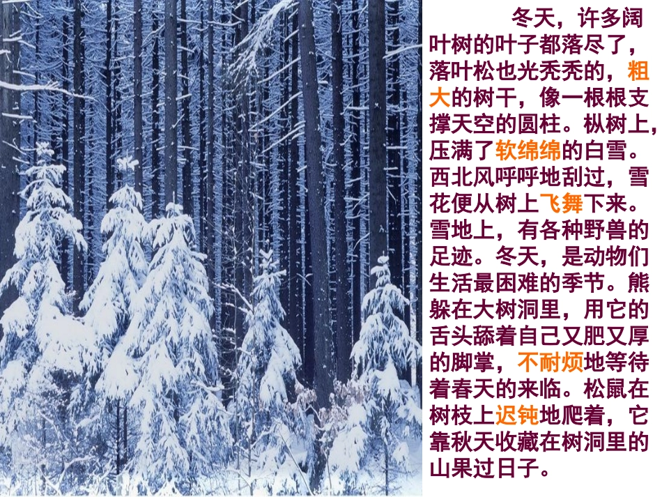 《东北大森林》PPT课件[冀教版四年级语文下册]_第3页