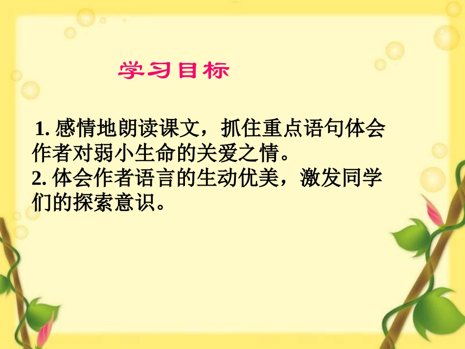 《蝴蝶的家》PPT课件[冀教版四年级语文下册]_第2页