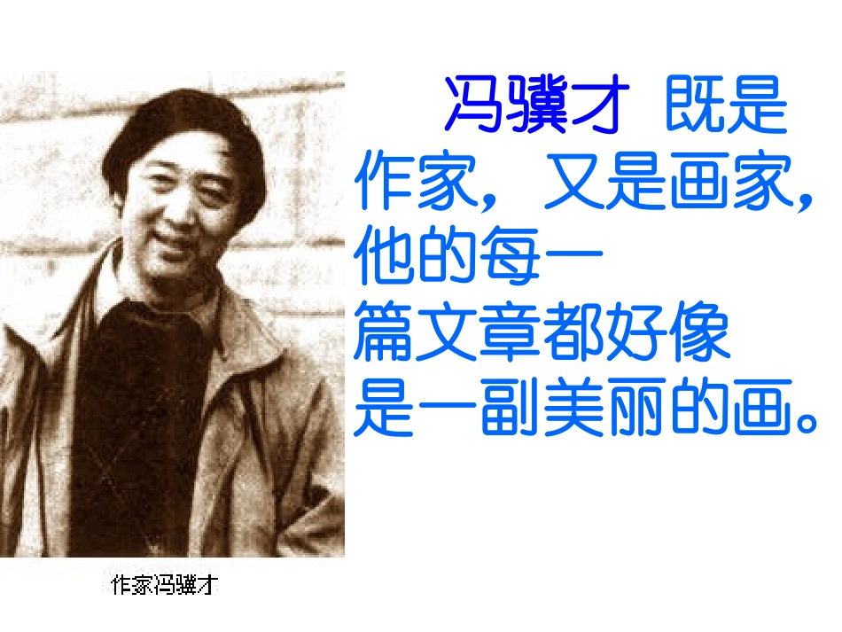 《珍珠鸟》PPT课件[冀教版五年级语文上册]_第2页