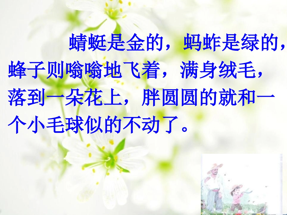 《祖父·后园·我》PPT课件[冀教版五年级语文上册]_第3页