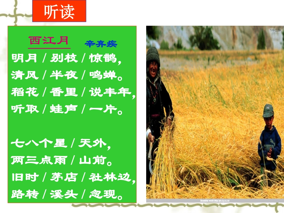 《西江月·夜行黄沙道中》PPT课件[冀教版五年级语文上册]_第3页