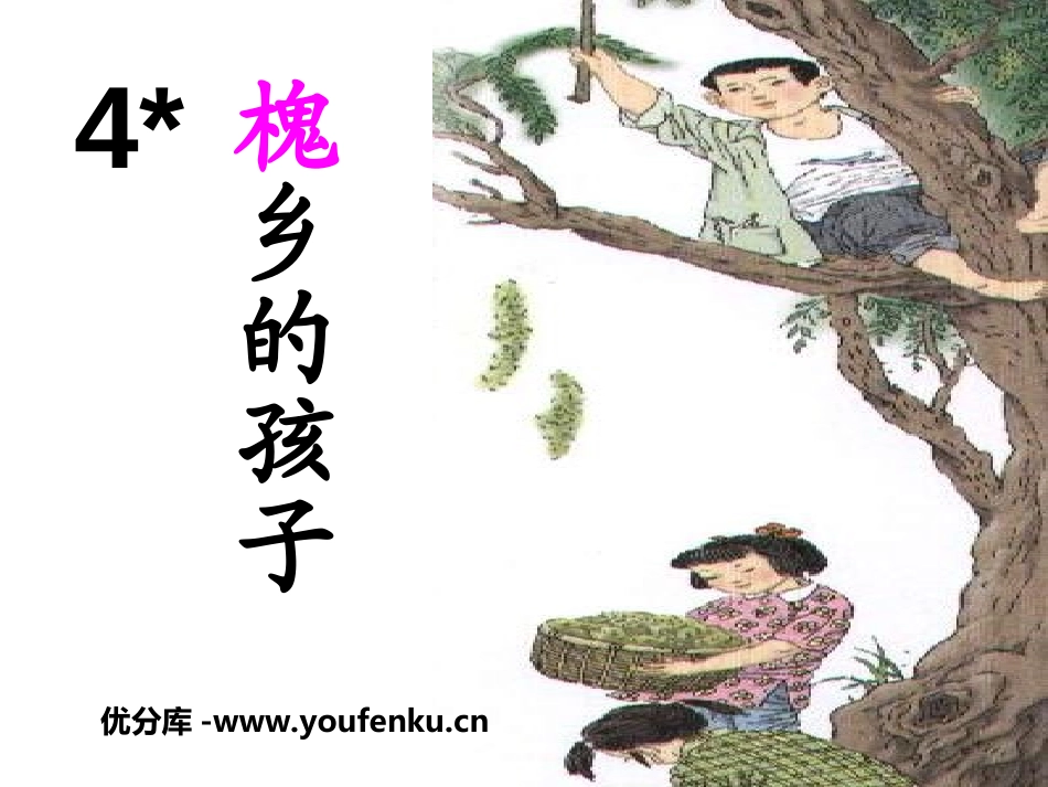 《槐乡的孩子》PPT课件[冀教版五年级语文下册]_第1页