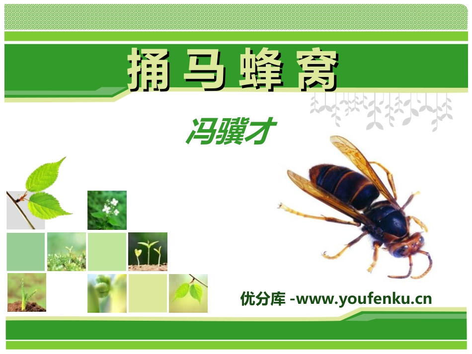 《捅马蜂窝》PPT课件[冀教版五年级语文下册]_第1页