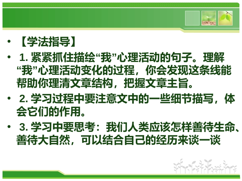 《捅马蜂窝》PPT课件[冀教版五年级语文下册]_第3页