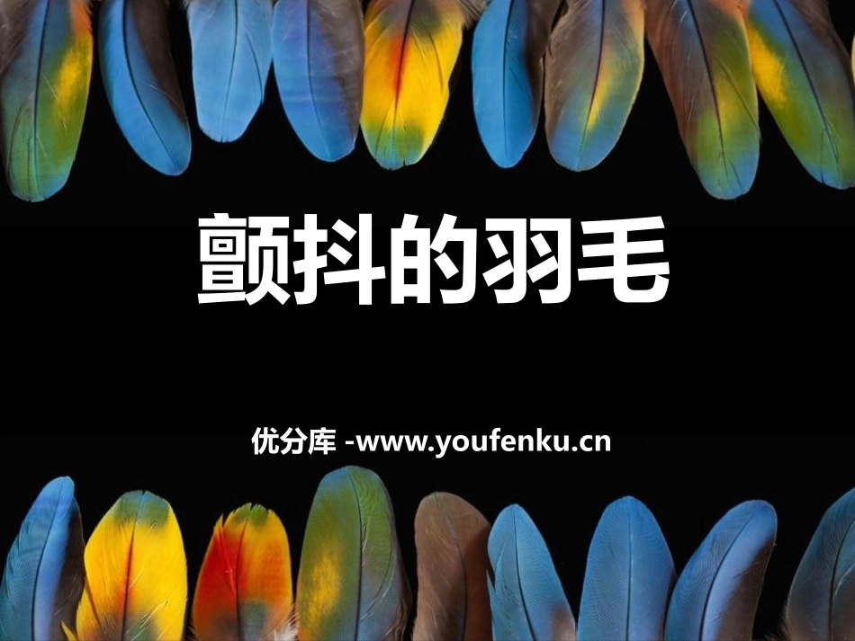 《颤抖的羽毛》PPT课件[冀教版五年级语文下册]_第1页