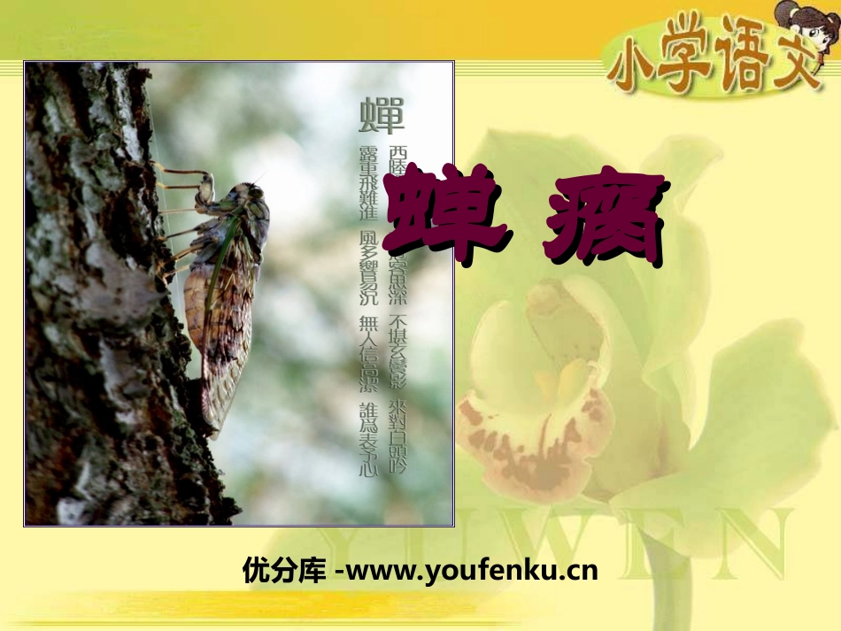 《瘸蝉》PPT课件[冀教版五年级语文下册]_第1页