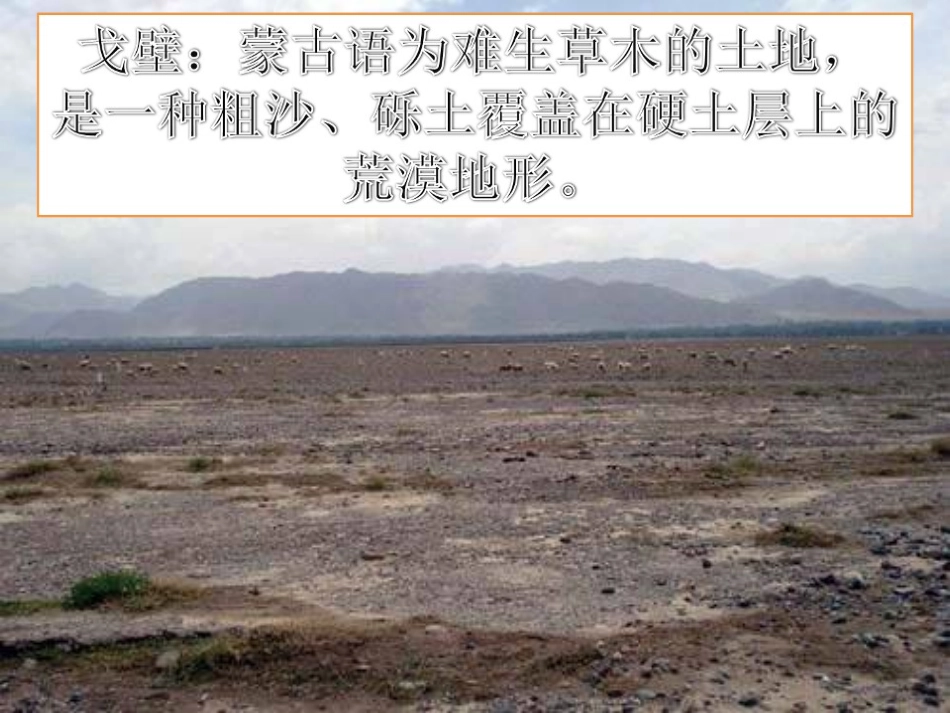 《白杨》PPT课件[冀教版五年级语文下册]_第2页