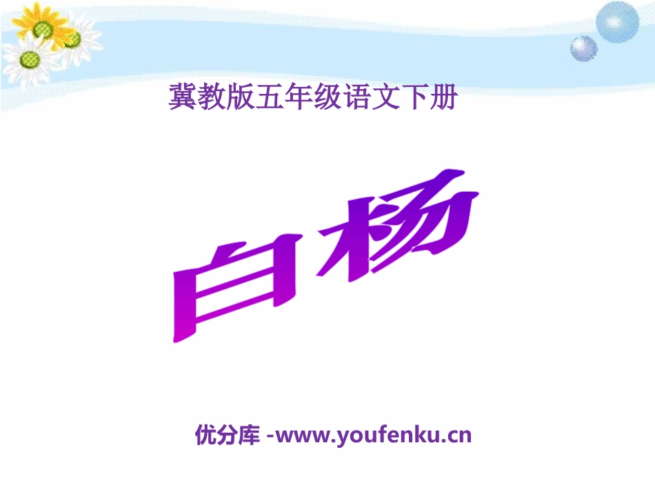 《白杨》PPT课件[冀教版五年级语文下册]_第1页