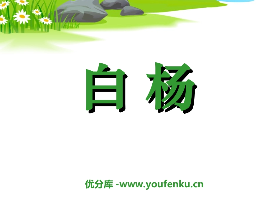 《白杨》PPT课件1[冀教版五年级语文下册]_第1页