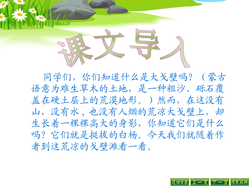 《白杨》PPT课件1[冀教版五年级语文下册]_第2页
