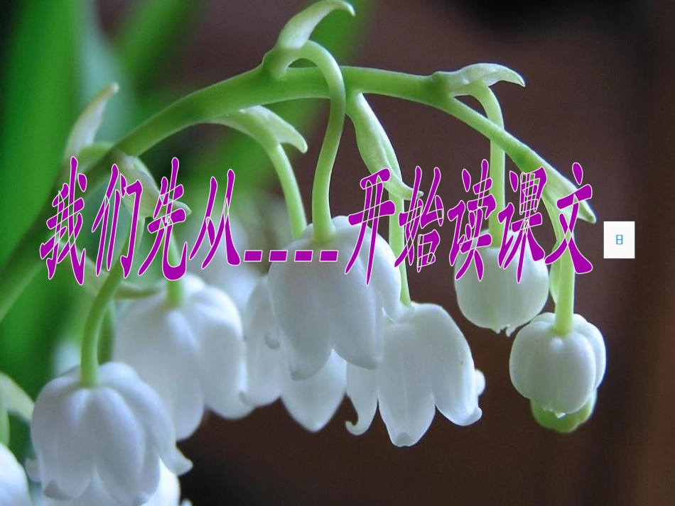 《小抄写员》PPT课件[冀教版五年级语文下册]_第2页