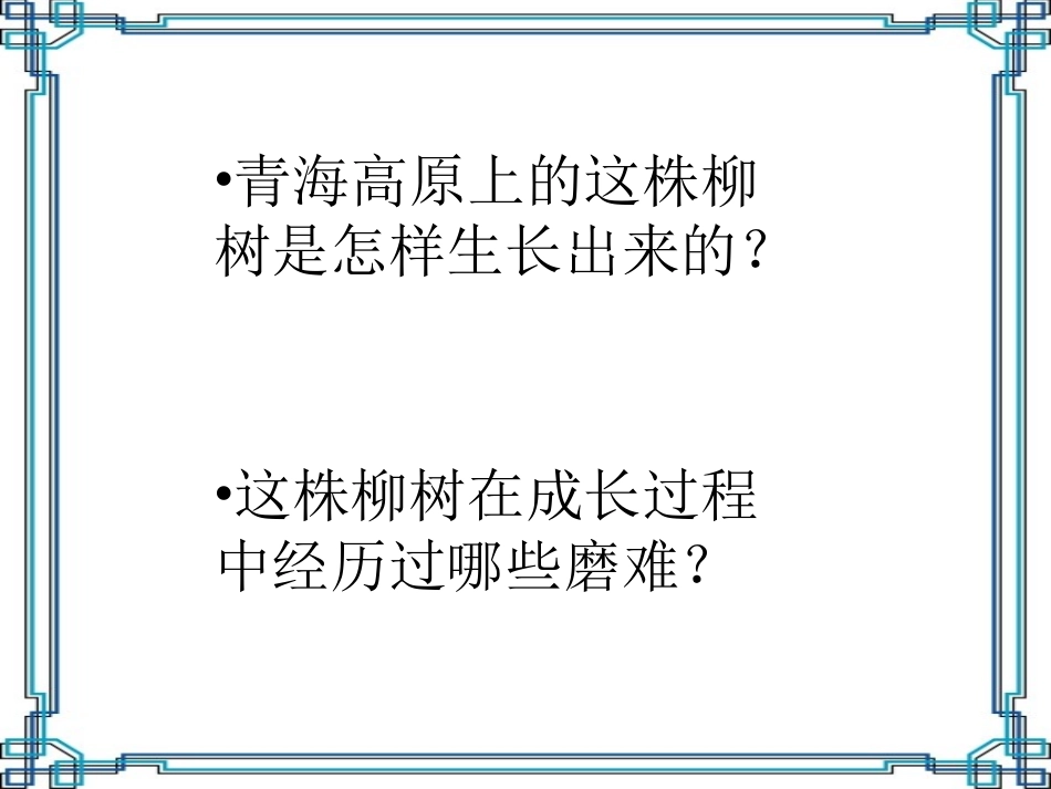 《青海高原一株柳》PPT课件[苏教版六年级语文上册]_第2页