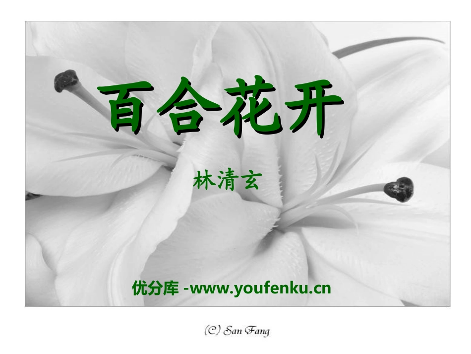 《百合花开》PPT课件[冀教版六年级语文上册]_第1页