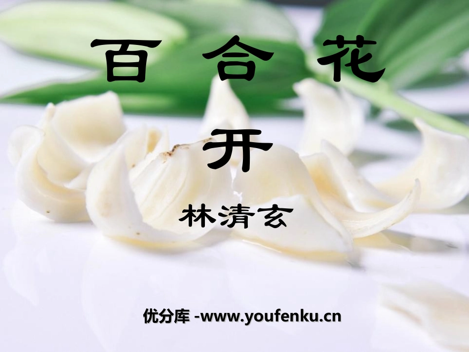 《百合花开》PPT课件[冀教版六年级语文上册]_第1页