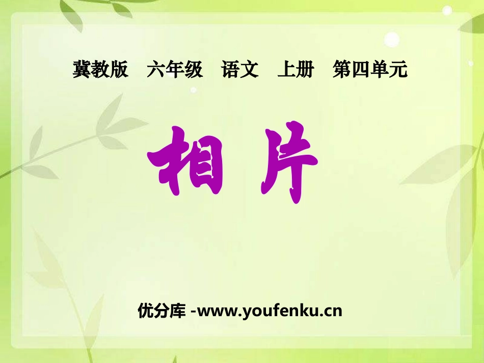 《相片》PPT课件[冀教版六年级语文上册]_第1页