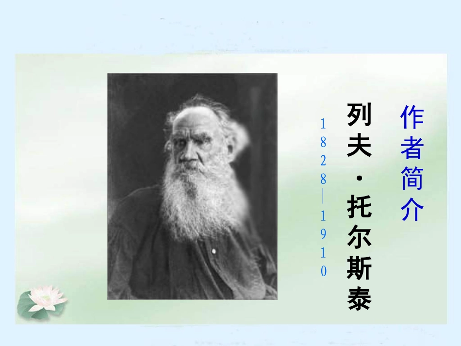 《跳水》PPT课件[冀教版六年级语文上册]_第2页