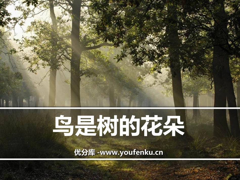 《鸟是树的花朵》PPT课件[冀教版六年级语文下册]_第1页