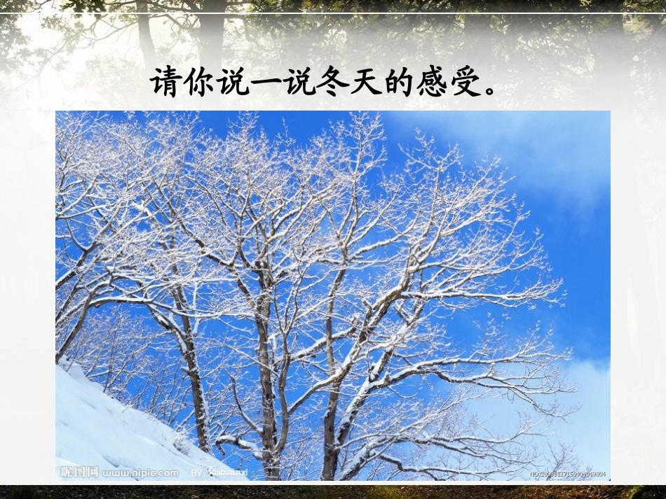 《鸟是树的花朵》PPT课件[冀教版六年级语文下册]_第2页
