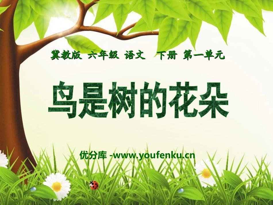 《鸟是树的花朵》PPT课件[冀教版六年级语文下册]_第1页