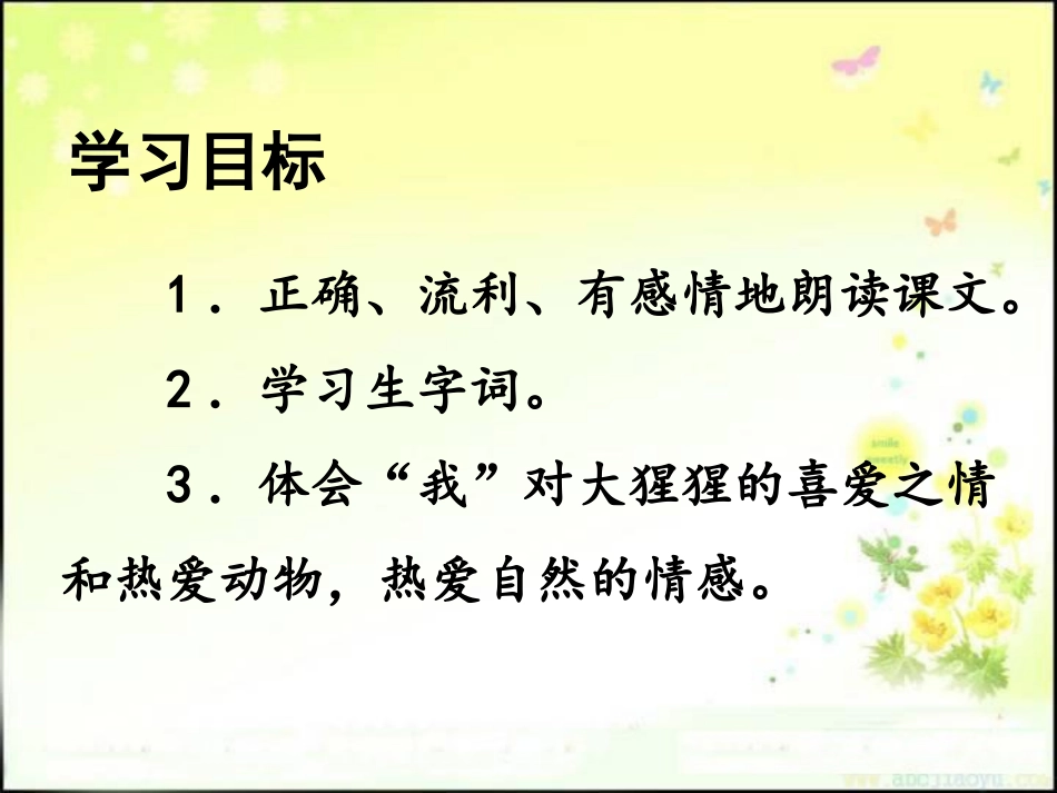 《我和大猩猩握了手》PPT课件[冀教版六年级语文下册]_第2页