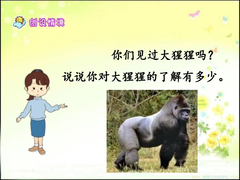 《我和大猩猩握了手》PPT课件[冀教版六年级语文下册]_第3页