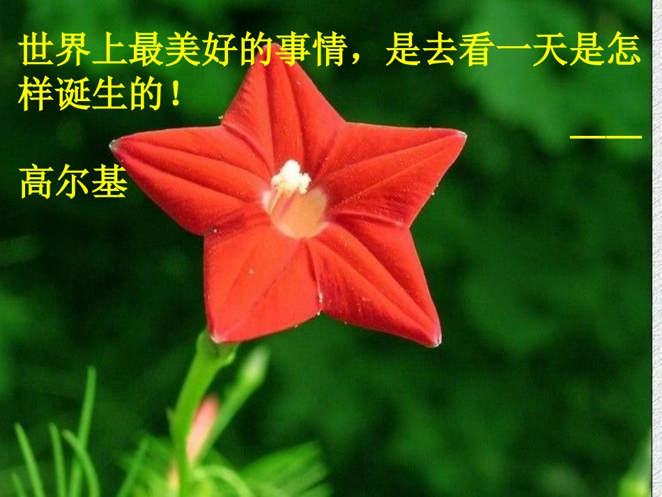 《早晨》PPT课件[冀教版六年级语文下册]_第2页