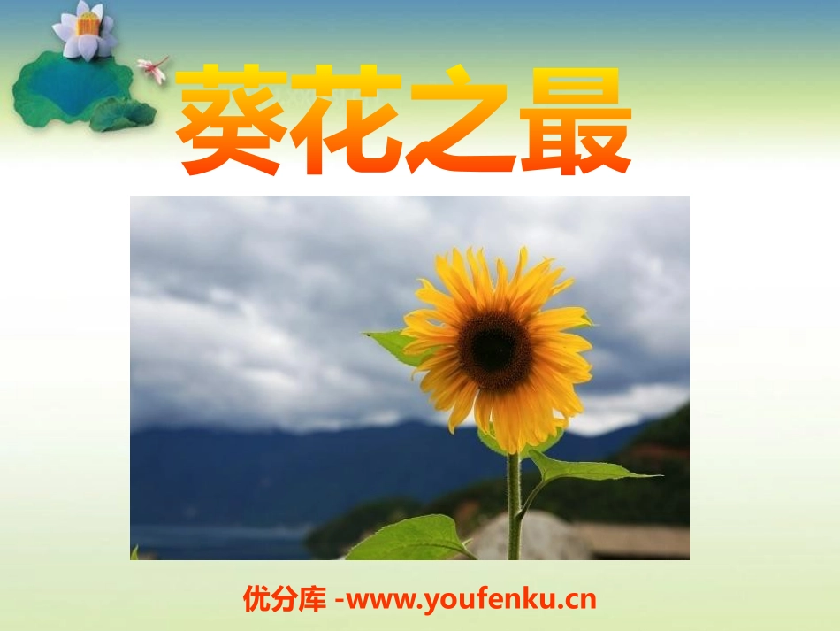 《葵花之最》PPT课件[冀教版六年级语文下册]_第1页