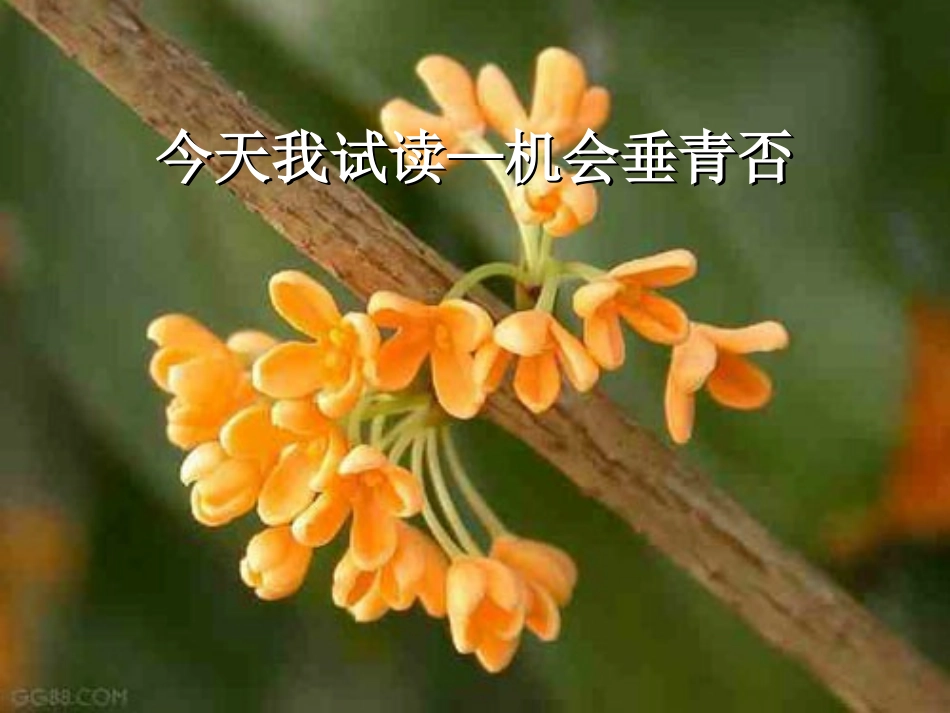 《济南的冬天》PPT课件[冀教版六年级语文下册]_第2页