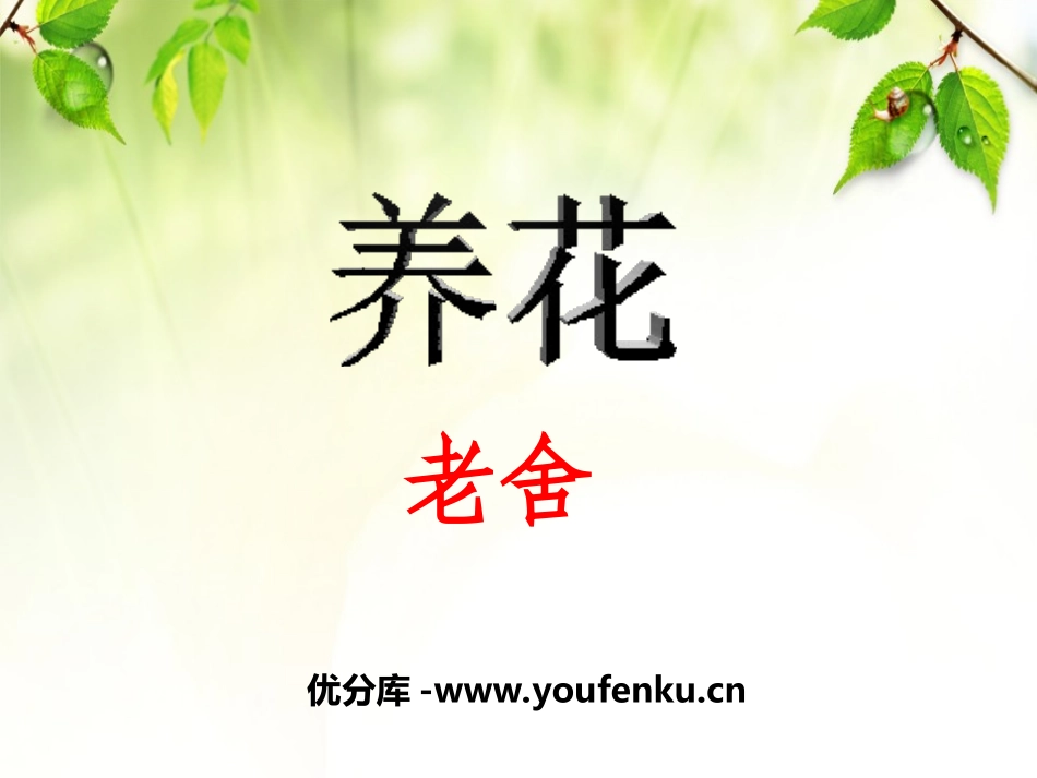 《养花》PPT课件[冀教版六年级语文下册]_第1页