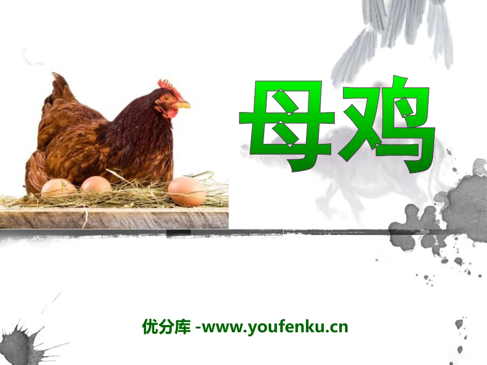 《母鸡》PPT课件[冀教版六年级语文下册]_第1页