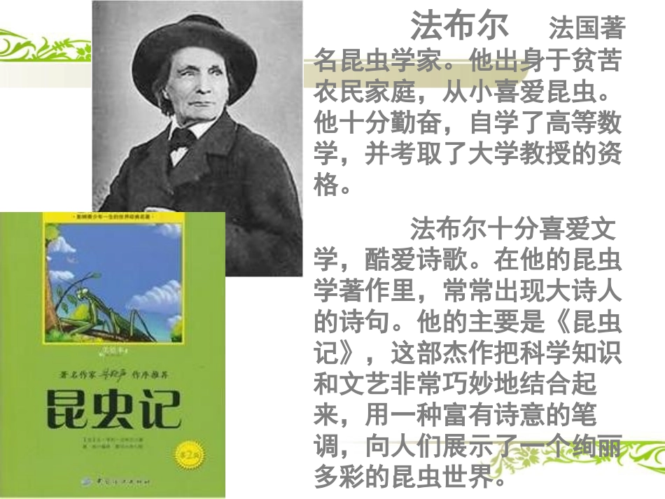 《蟋蟀的住宅》PPT课件[冀教版六年级语文下册]_第2页