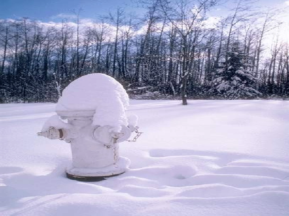 《雪地里的小画家》PPT课件[部编版一年级语文上册]_第3页