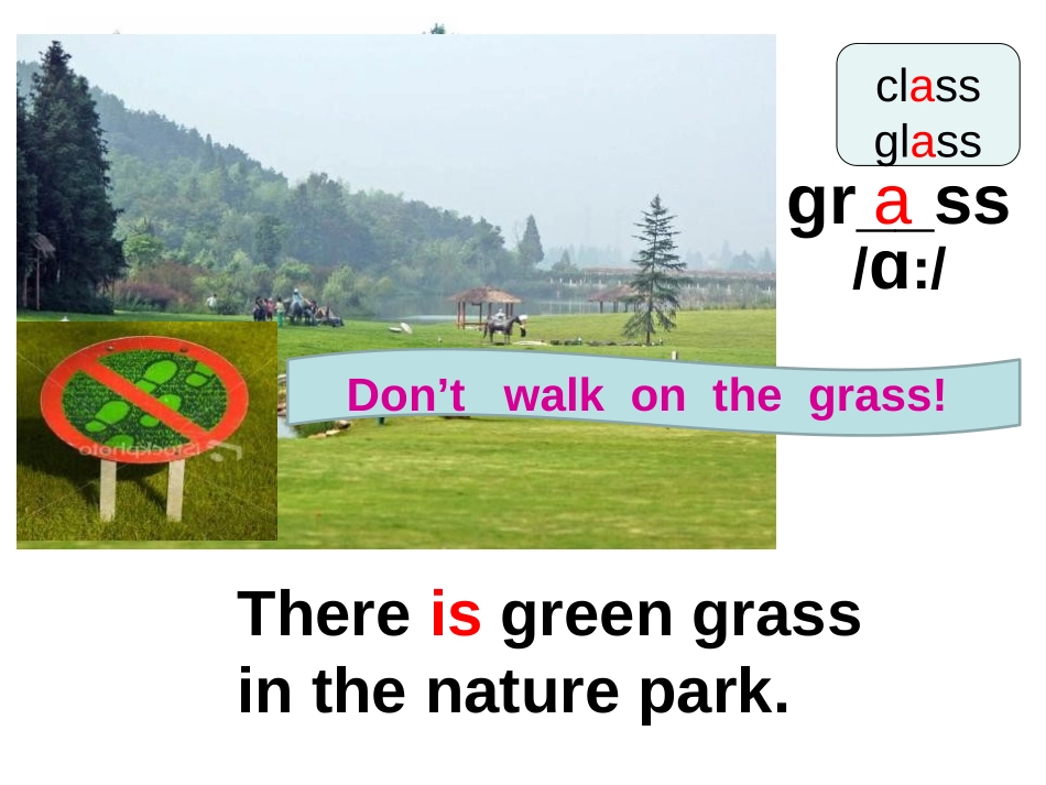 《In a nature park》PPT课件[人教版五年级英语]_第3页