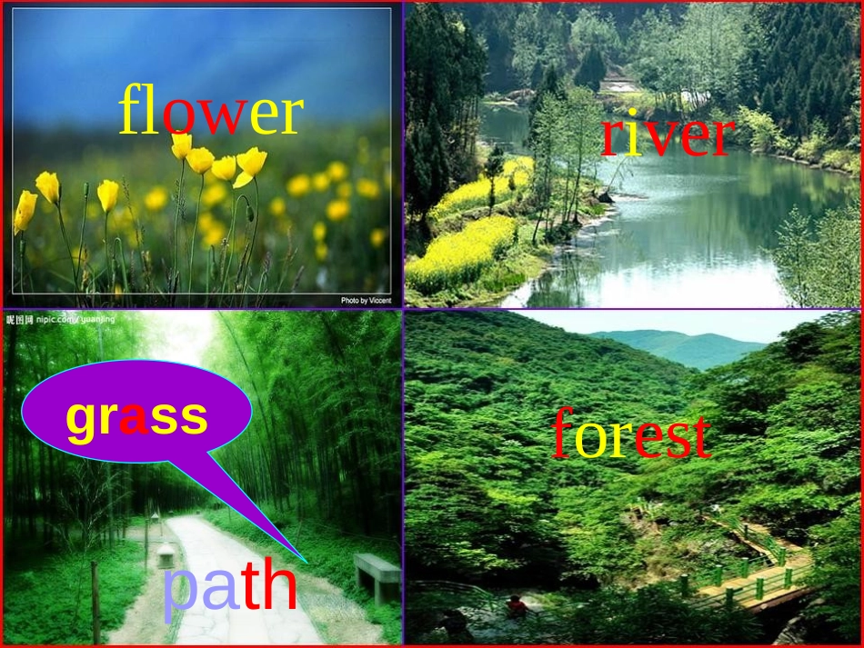 《In a nature park》PPT课件[人教版五年级英语]_第2页