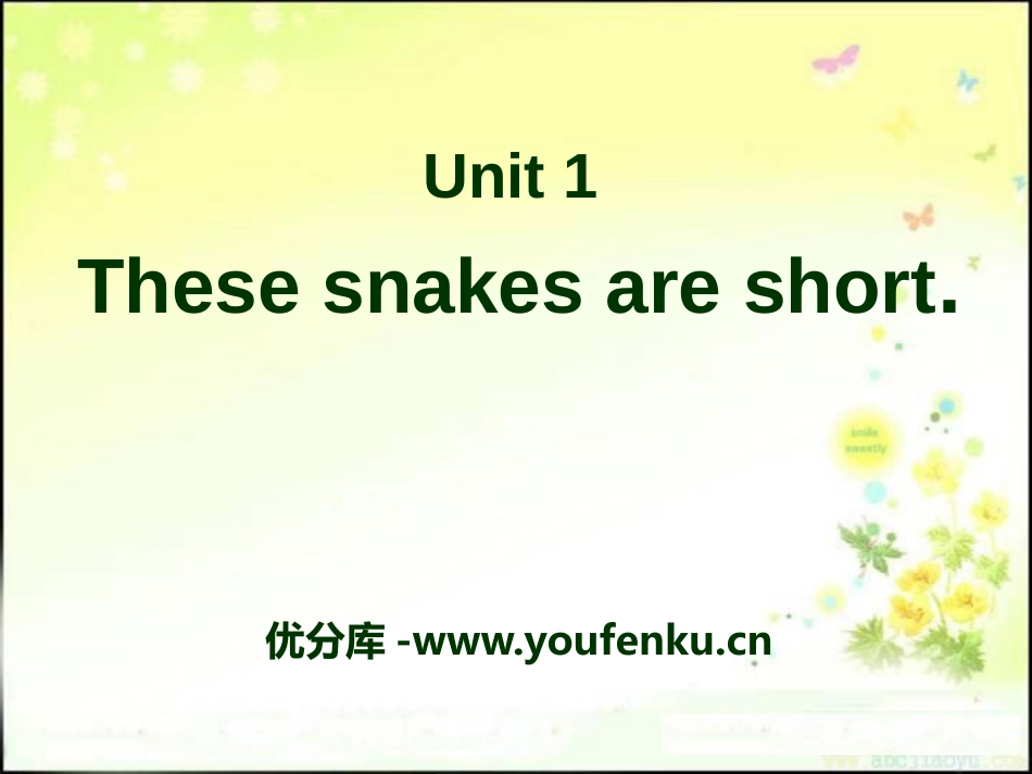 《These snakes are short》PPT课件_第1页